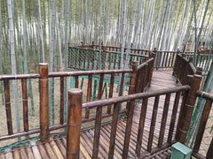 -陶祖圣境风景区