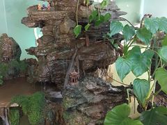 -小辣椒(临桂太子店)