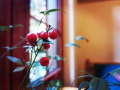 -月亮眼花园餐厅书吧酒吧