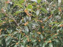 -荆州中山公园动物园