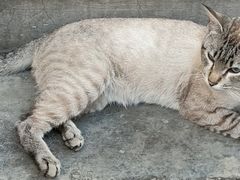 -太兴餐厅(东方广场分店)