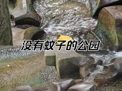 -成都市活水公园