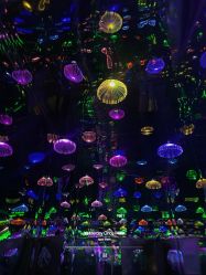 -疯狂冒险家-亲子密室-东坝店(金隅嘉品店)