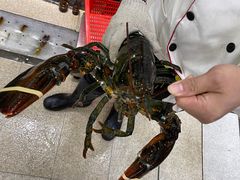 -蚝专家(北滘店)