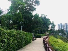 -狐尾山公园
