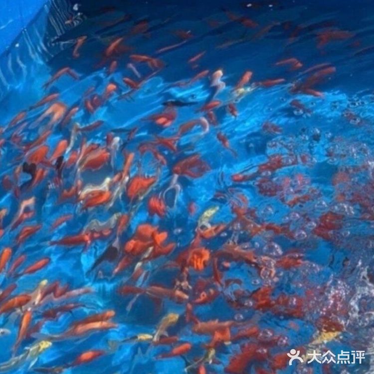 北京遛娃哪里去❓万达亲子动物园[调皮]带给娃不一样的欢乐[胜利]