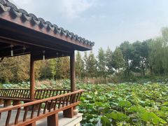 -梁鸿国家湿地公园