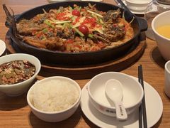 -老板恋上鱼(恒隆广场店)