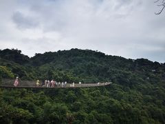 -亚龙湾热带天堂森林公园