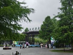 -黄海国家森林公园