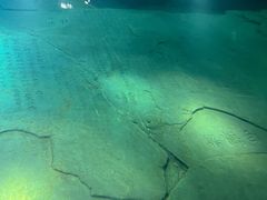 -白鹤梁水下博物馆