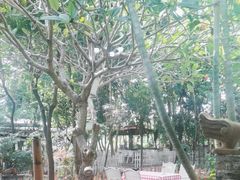 -陶缘一号·四季缘·老字号顺德菜·户外婚礼家宴(西滘店)
