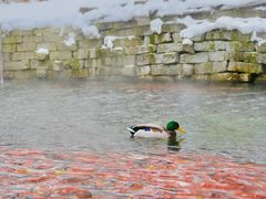 -水磨沟公园