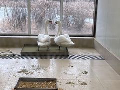 -沈阳森林动物园