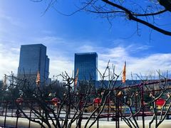 -西海子公园