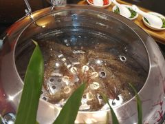 -大东方海鲜酒楼(小武基桥店)