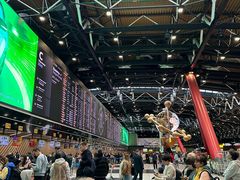 -谢列梅捷沃国际机场