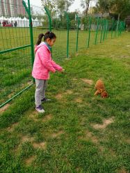 -萌宠亲子动物乐园(槐房万达店)