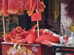 -溪岸路花鸟市场