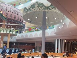 -超级奈尔宝SUPER NEOBIO(杭州星光店)