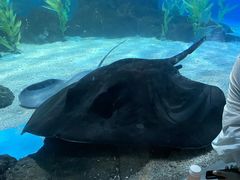 -常州海昌海洋探索馆