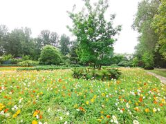 -秦皇岛野生动物园