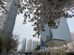 -上海环球金融中心骑迹50年环球之旅