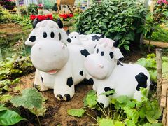 -石家庄市植物园