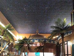 -桃园农庄烤全羊(江秋路店)