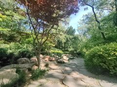 -大连植物园