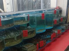 -四海蒸鲜蒸汽海鲜自助(北戴河店)