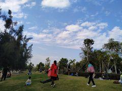 -宝安西湾红树林湿地公园