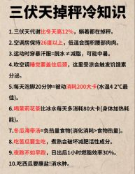-Fundi张玉珊修身堂·indiba·BTL科技瘦身
