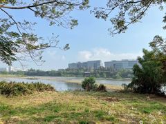 -华侨城湿地公园