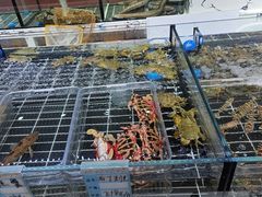 -张家卫·阳江菜·小海鲜(肥婆湾桥店)