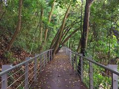 -广州市流溪河国家森林公园