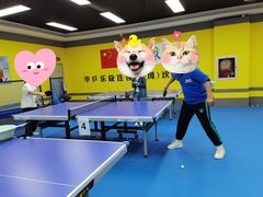 -乐旋乒乓球(深圳南油店)