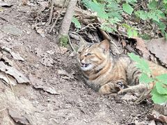 -终南山南五台景区