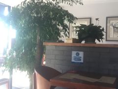 -滇越乘象云南餐厅(次渠店)