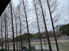 -EKA天物-停车场