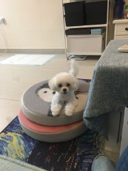 -肌理言健康美肌驻颜所