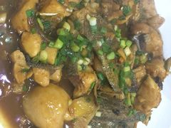 -全乐鱼馆·淳牌有机鱼直营店