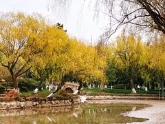 -瀛洲公园