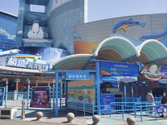 -海合安青岛极地海洋公园
