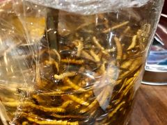 冬虫夏草-江杨农产品批发市场