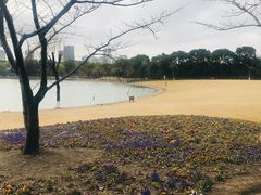-黄兴公园