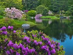 -秦岭风景区