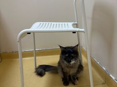 -芭比堂动物医院·犬猫全科·异宠专科(雁塔分院)