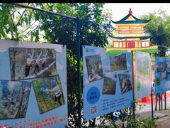 -芦仙山景区-飞越丛林探险乐园
