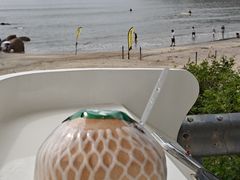 -汕尾风车岛